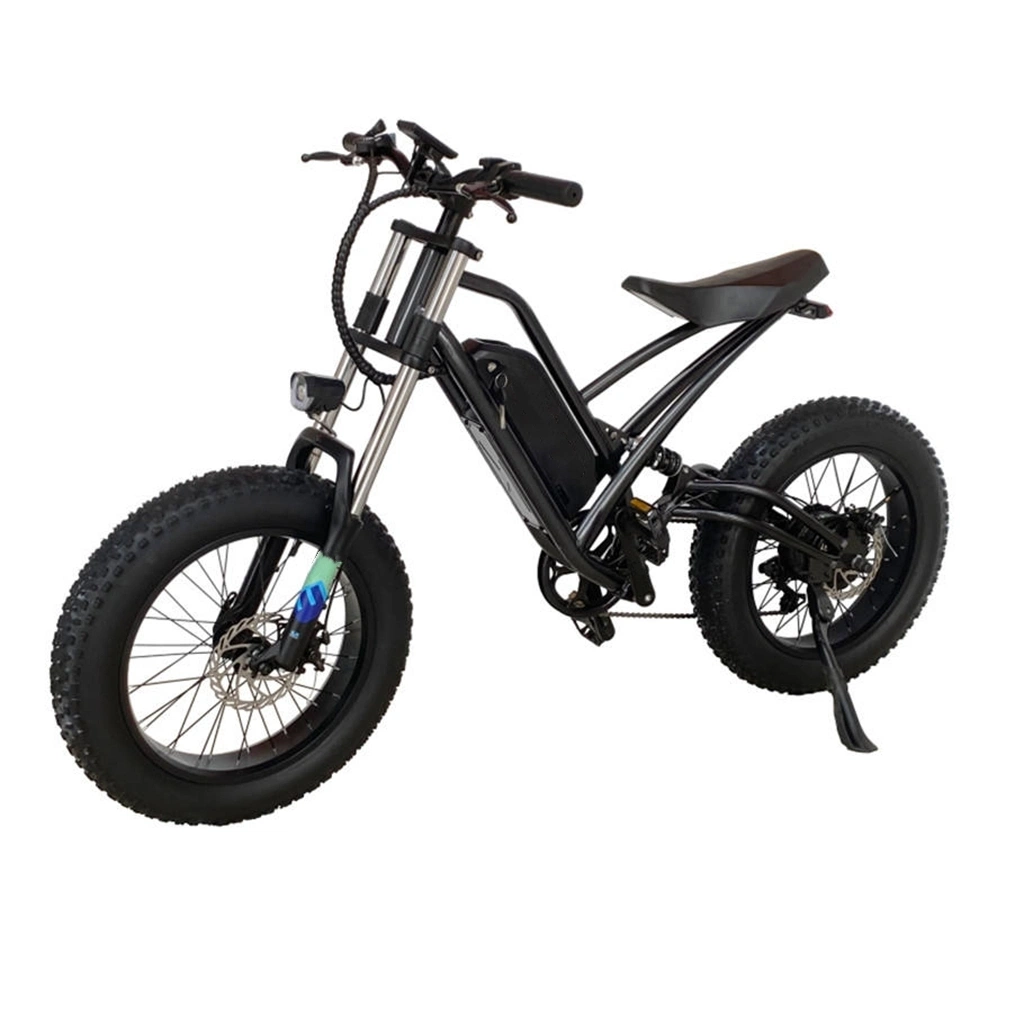 2022 Original Factory All Youken 26 Inch 48V 13ah Gear 10 Speed Electric Mountain Bike 750W Full Suspension MTB Ebike for Sale