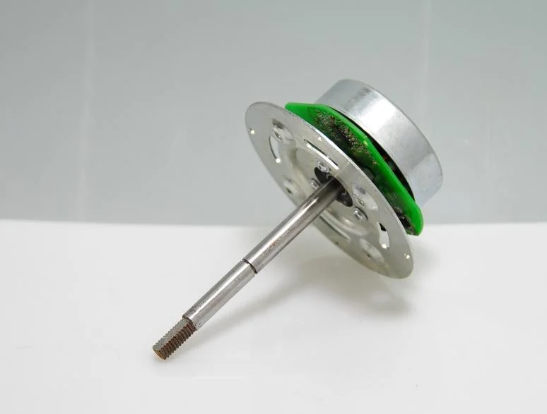 Factory Price Brushless DC Motor BLDC Motor 50mn. M 1350rpm