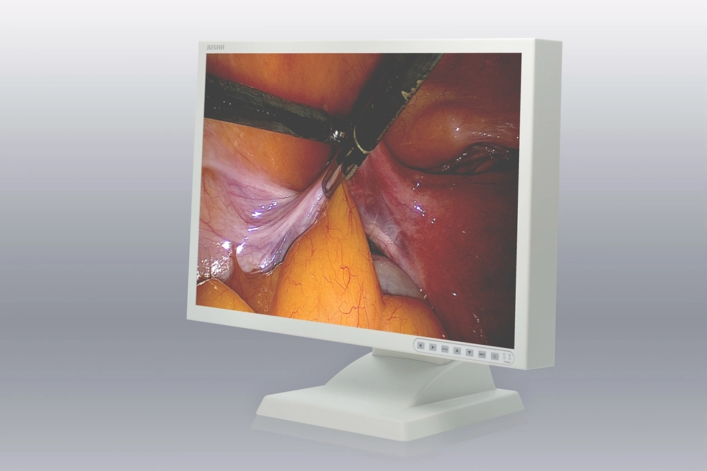 24inch 1920X1200 High Resolution Display System