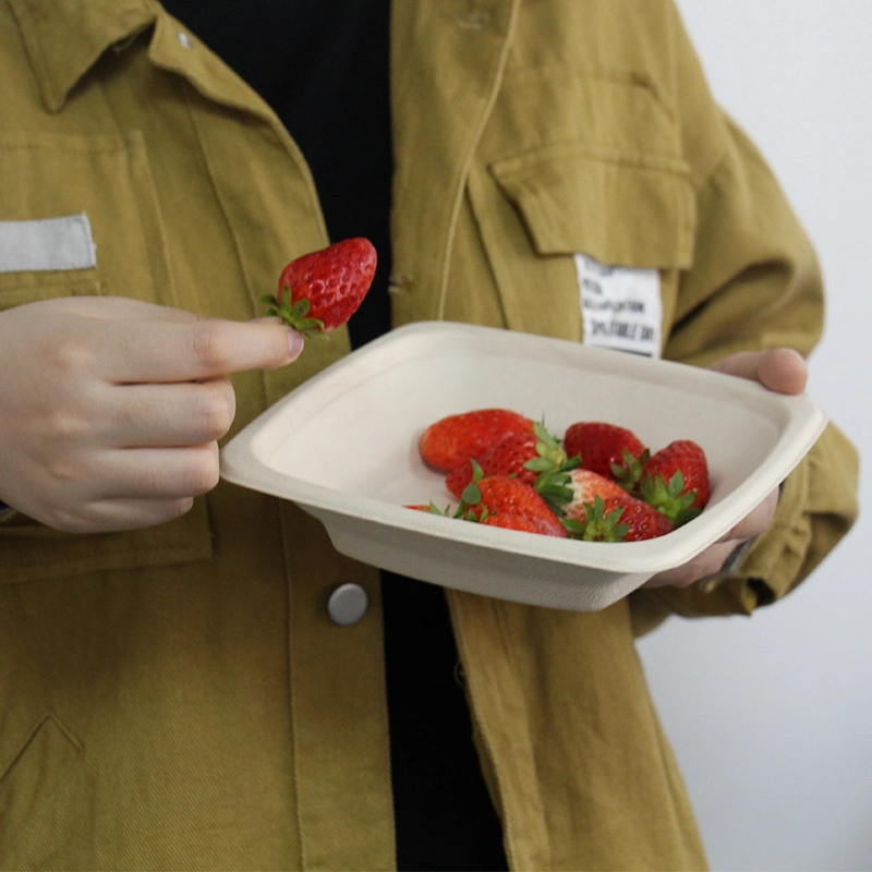 Eco-Friendly Biodegradable Bagasse Fiber Sandwich Box Party Food Tray Convenient Foodware Biomass Packaging Square Dinner Deep Plate Tableware Bowl Salad Bowl