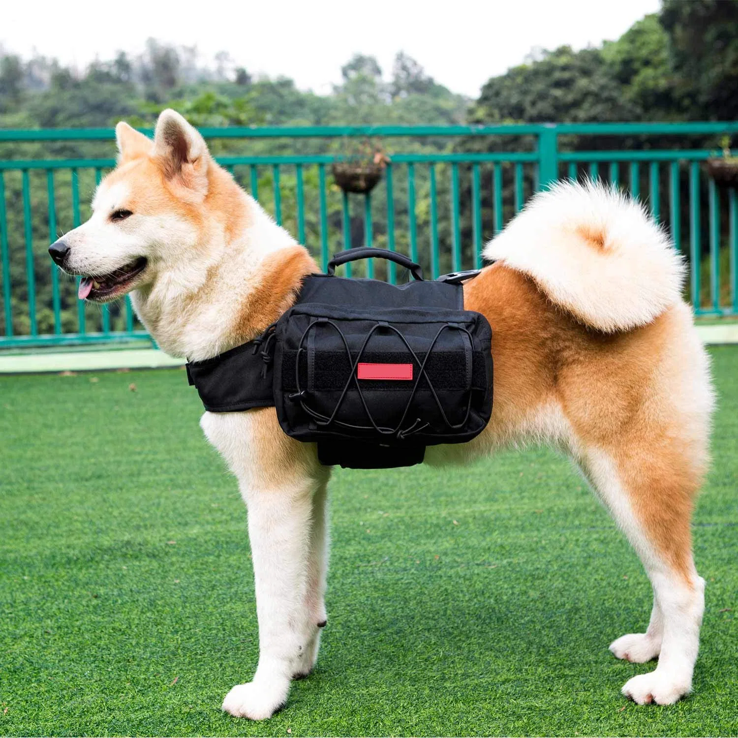 Dog Backpack Lightweight - Hiking, Camping, Shopping, Walking with Your Pet Dog Backpack