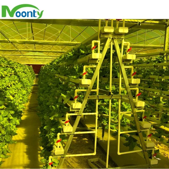 Système HYDROPONIQUE NFT verticale croître Cheap Nft Commercial Channel système croissant avec système d'irrigation pour légumes Lecturre Concombre fraise