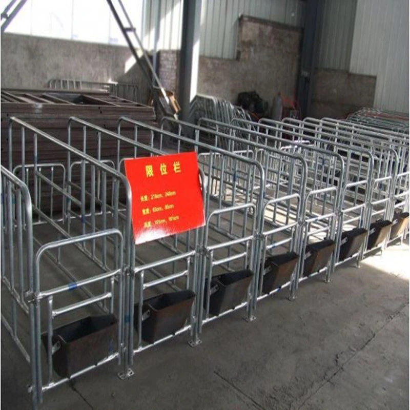 Pig Industry Equipment/Pig Breeding Equipment/ Sow Crate with High Quality