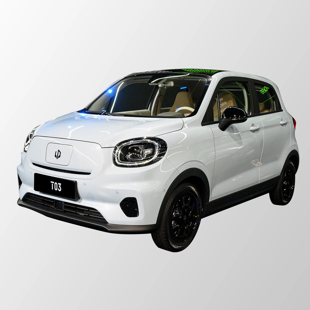 Popular Affordable Small Mini EV Car Famous Brand Pure Electric Auto Used New Car