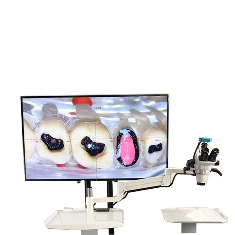 0-180degré LED binoculaire de chirurgie dentaire Microscope ent l'opération