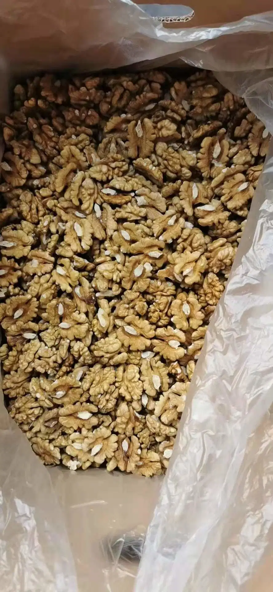 Good Price Xinjiang Walnut Kernels