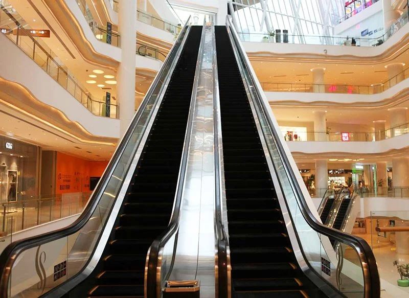 Escalera tipo pesado para el transporte público