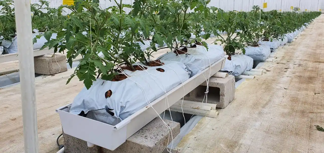 Strawberry Hydroponic Growing Systems Vertical Planting Cultivation Plastic Gutter Greenhouse for Sale