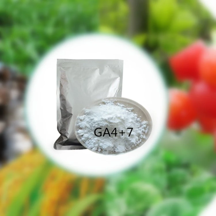 Best Price Plant Growth Regulator Ga3 Gibberellic Acid 90%Tc