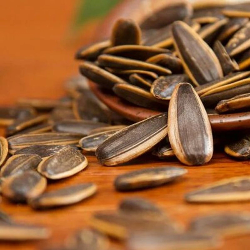 Roasted Caramel Flavor Sunflower Seeds with Brc, HACCP Certificate