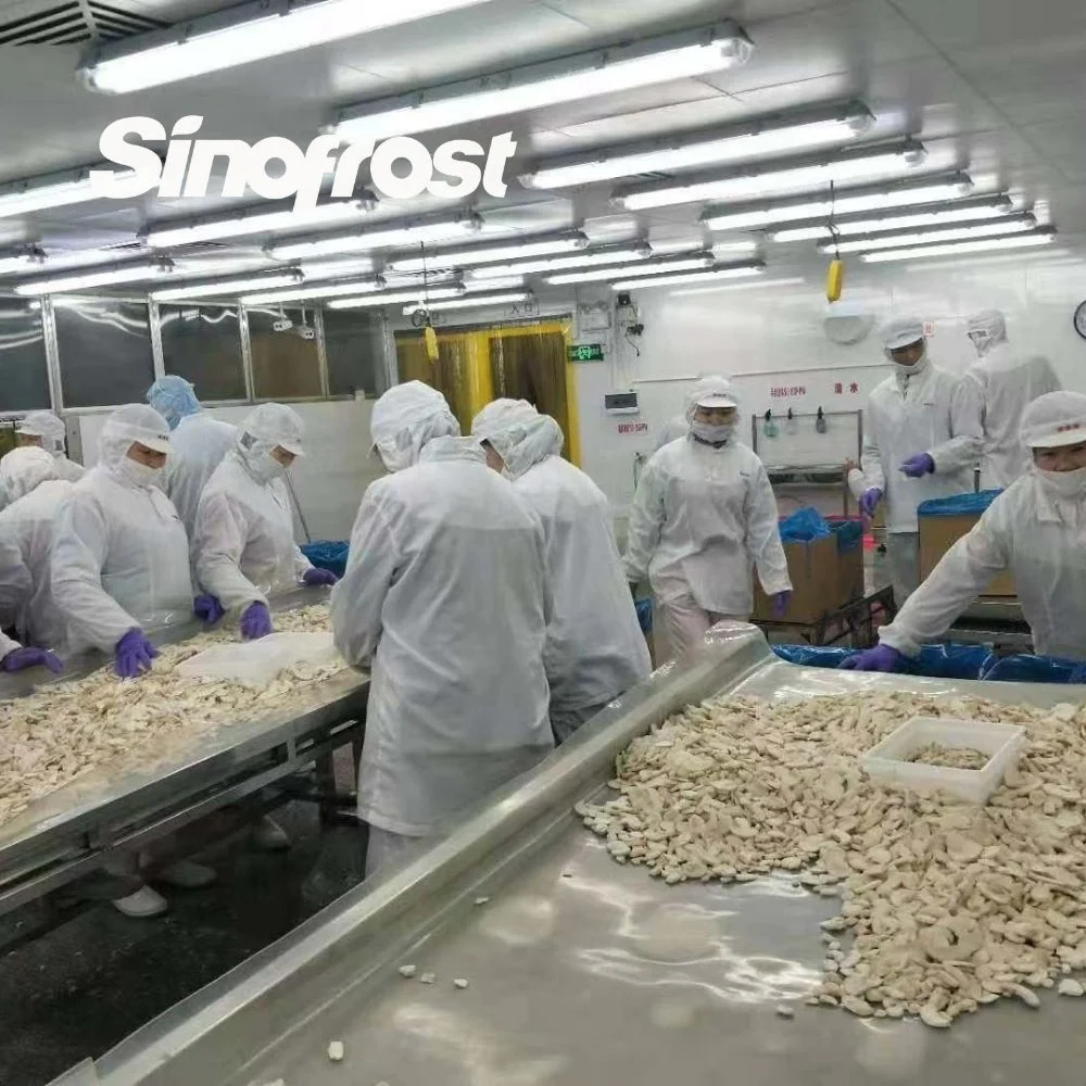 Premium IQF Frozen Agaricus bisporus setas blanqueadas - botón IQF setas Cortes escalados para distribución al por mayor