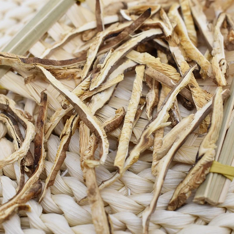 Günstige Preise Shiitake Pilze mit glatter Oberfläche