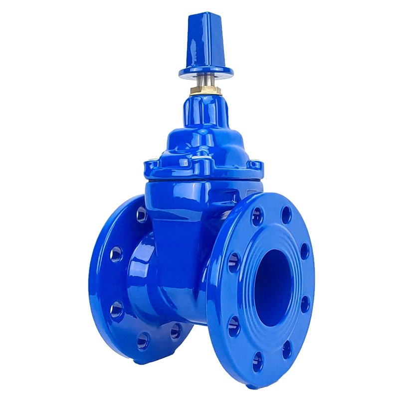 Cast Iron Awwa C515 Directly Buried Type BS En1092 DIN3202-F4 Gate Valve