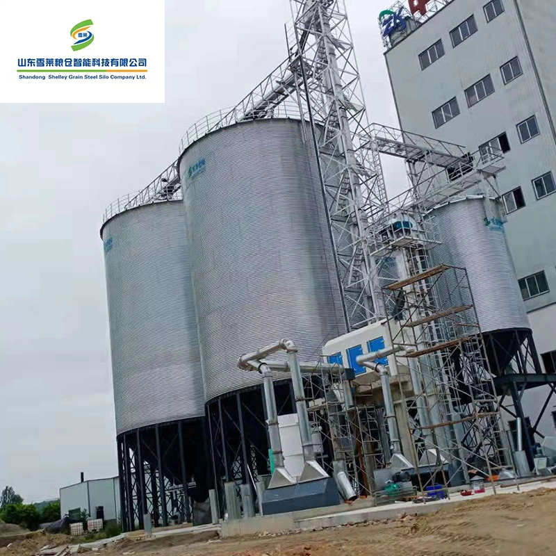 1000t 2000t 3000t Grain Silos Price for Paddy/Corn/Sorghum Storage Steel Silo Bolted Type Farm Bin Manufacturers