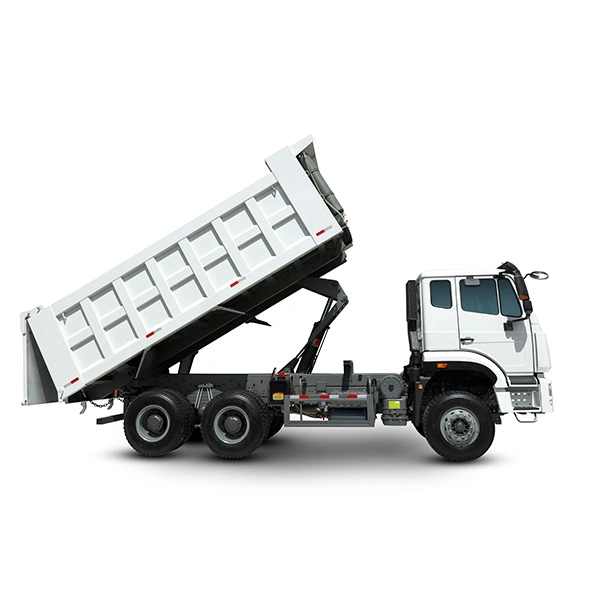 Popular Sale in Africa New Camion Shacman F3000 8X4 12 Wheeler Dumper Used Sinotruk 6*4 4*2 10 Wheel HOWO Dump Truck