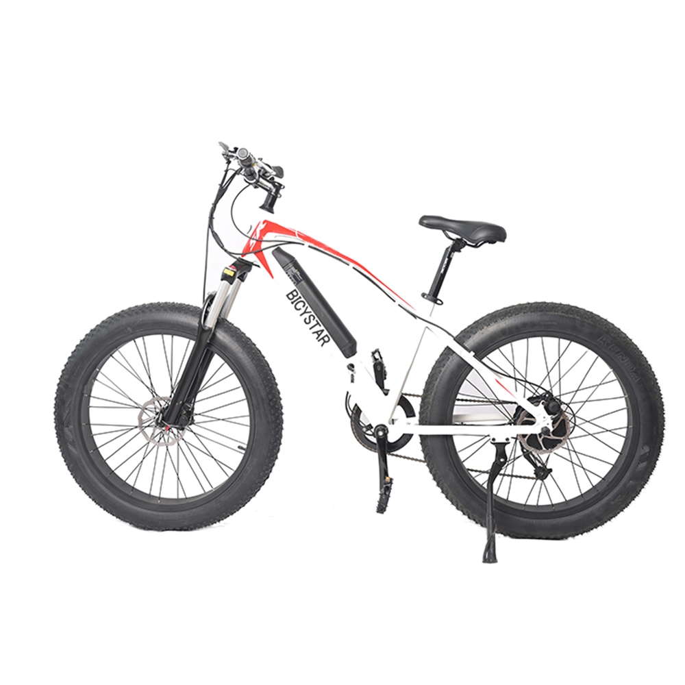 Electric Bicycle Fat Tire/Electric Bike Bicycle Fat Tire/Electric Bike Fat Tire 1000W/Electric Bike Fat Tire 750W