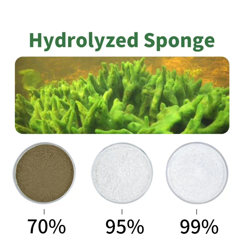 Cosmetics Raw Material 99% Micro Needle Sponge Spicule Hydrolyzed Sponge