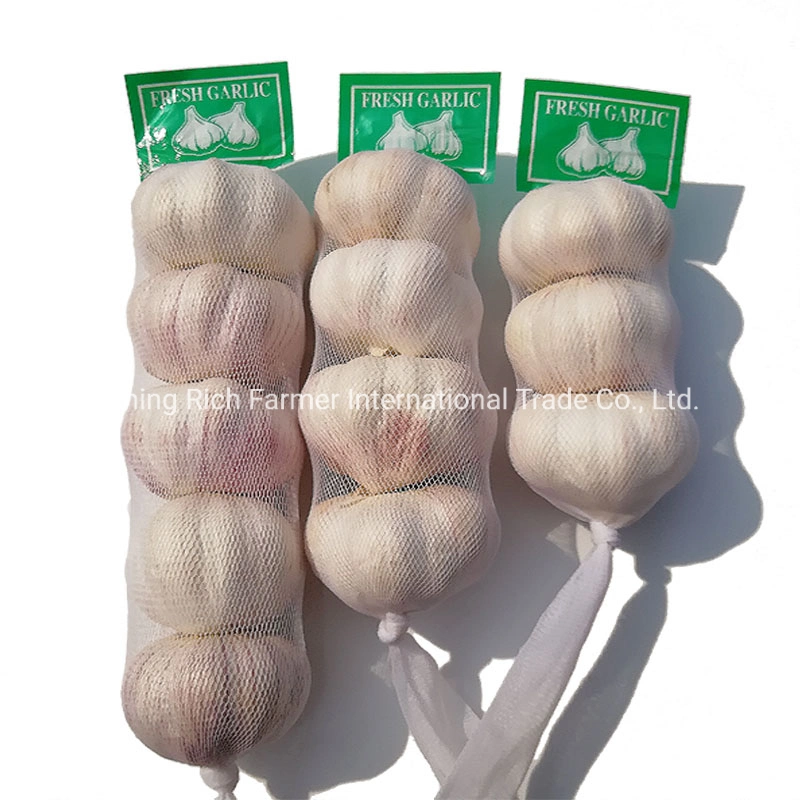 Kleine Verpackung 3PC 5pcs 500g 1kg China frischer Knoblauch