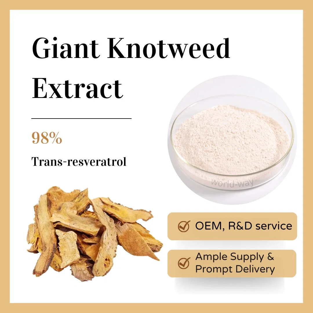 Polvo de Resveratrol Natural puro 10% 50% 98% Extracto de Knotweed Gigante