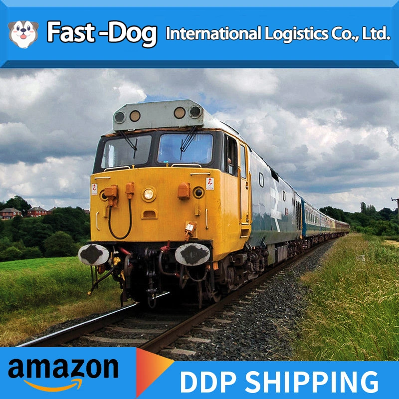 Amazon Fba China Shipping Door to Door Service Air/Sea Cargo to Canada /USA/UK/Europe