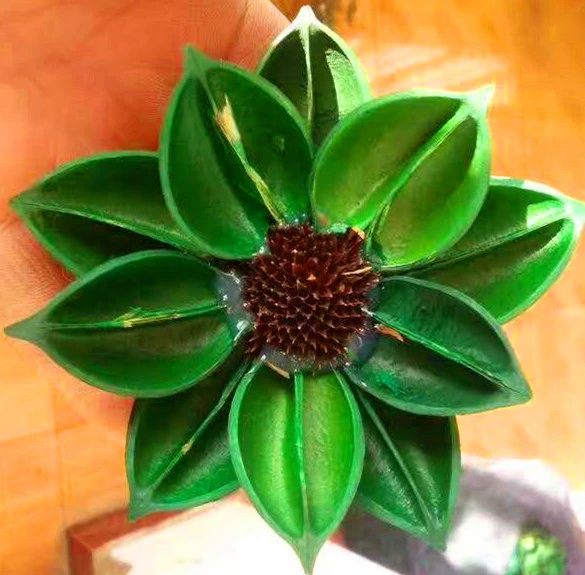 Green Color Artificial Flower Synthetic Plant Plastic Flower Landscape Flower for Decoration