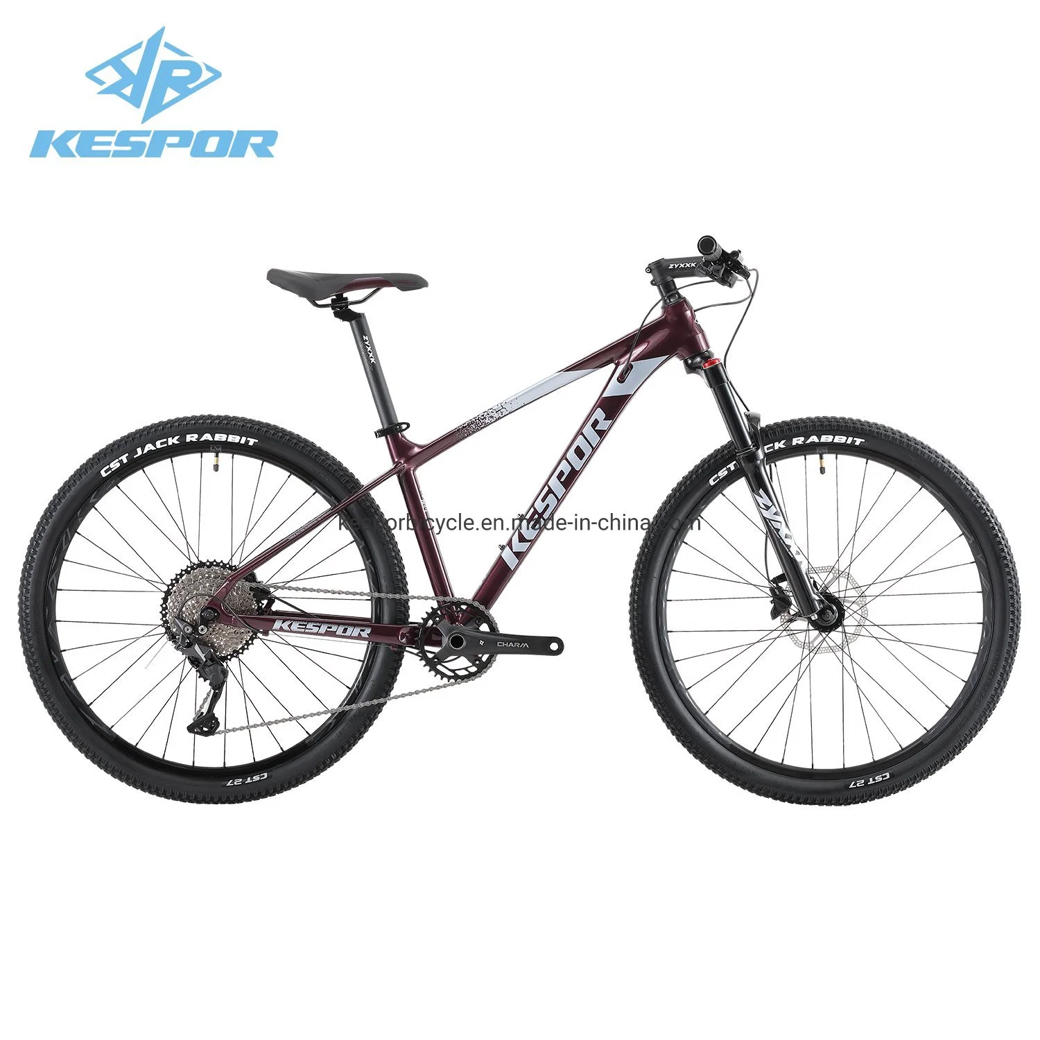 New Style 11 Speed Aluminum Alloy Frame Mountain Bike Bicycle Captain with Suspension Fork