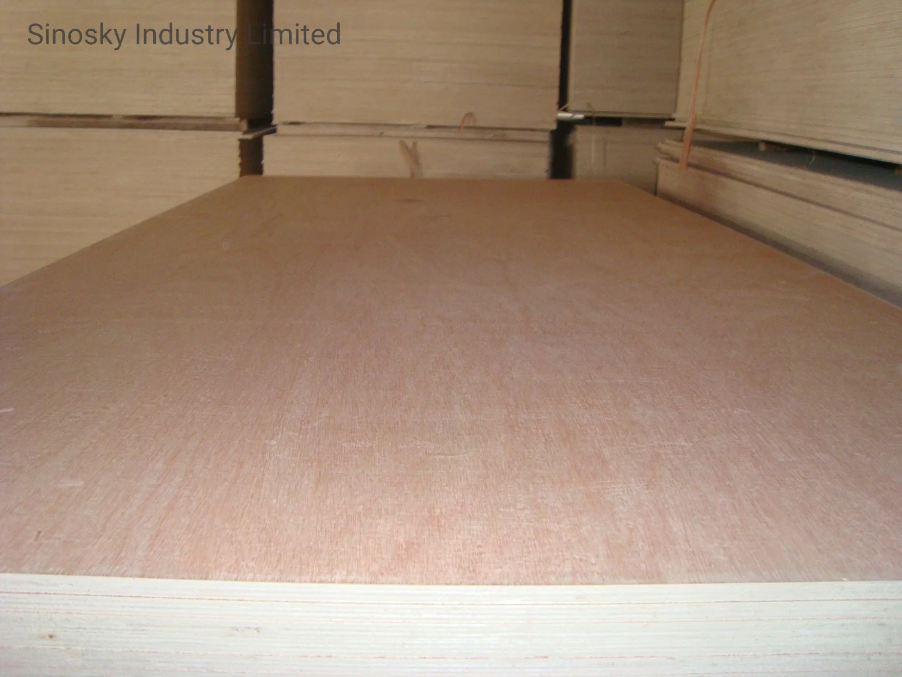 Poplar Core Plywood, South America Market Plywood, EV Plywood, Two Times Plywood