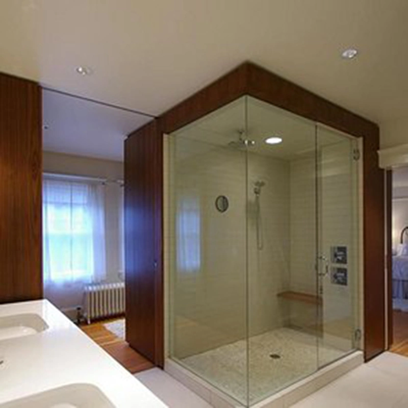 Minimalist Design Shower Enclosure with Frosted Glass Building Material