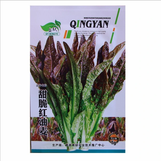 Touchhealthy Supply Chicken Feathers Cuisine Seeds/Vegetable Seeds for Planting