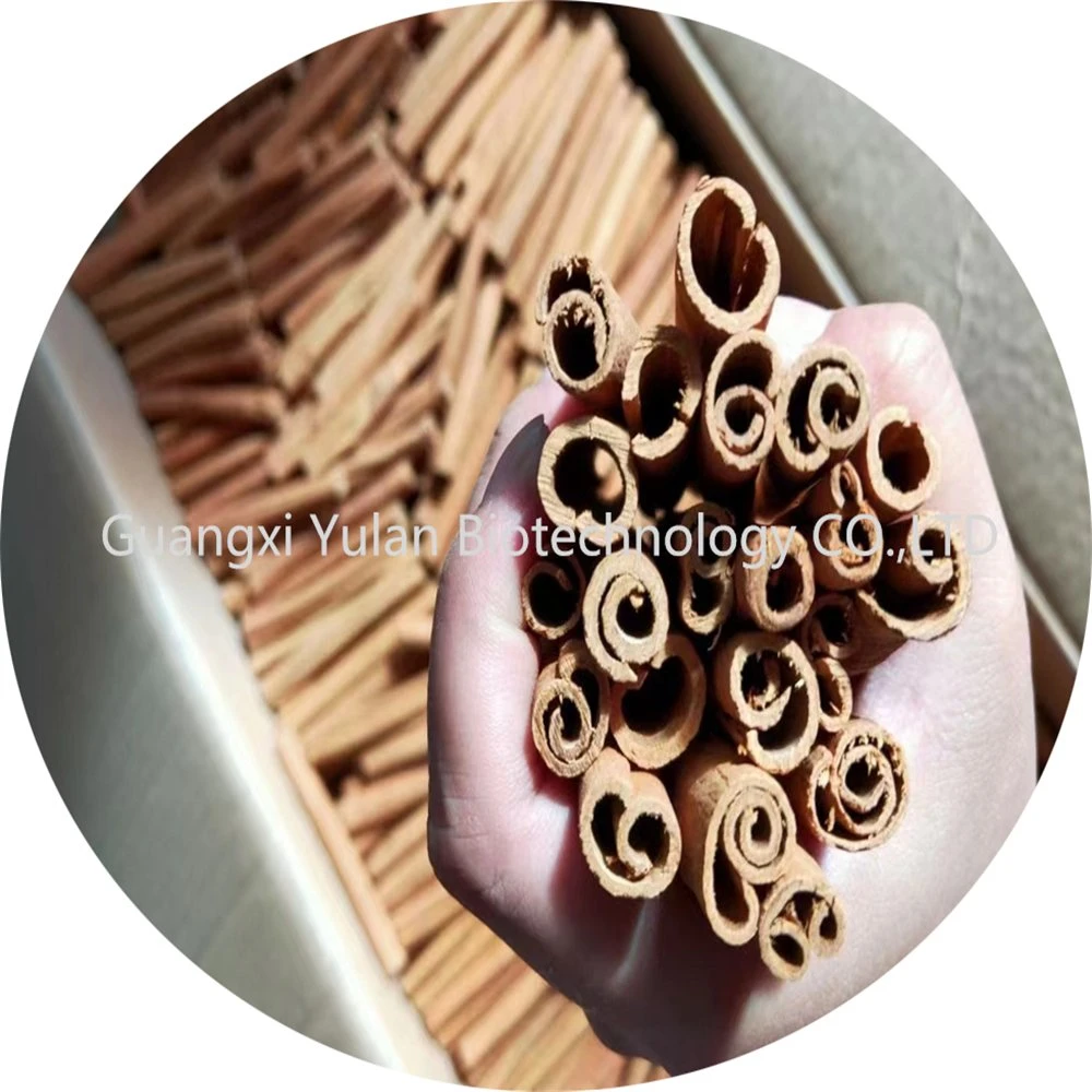 New Fresh Natural Dry Cinnamon Sticks Factory Supply