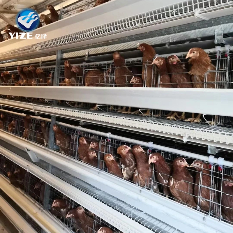 Hot Sale 5 Tier 200 Birds Laying Hens Poultry Farm Chicken Cage