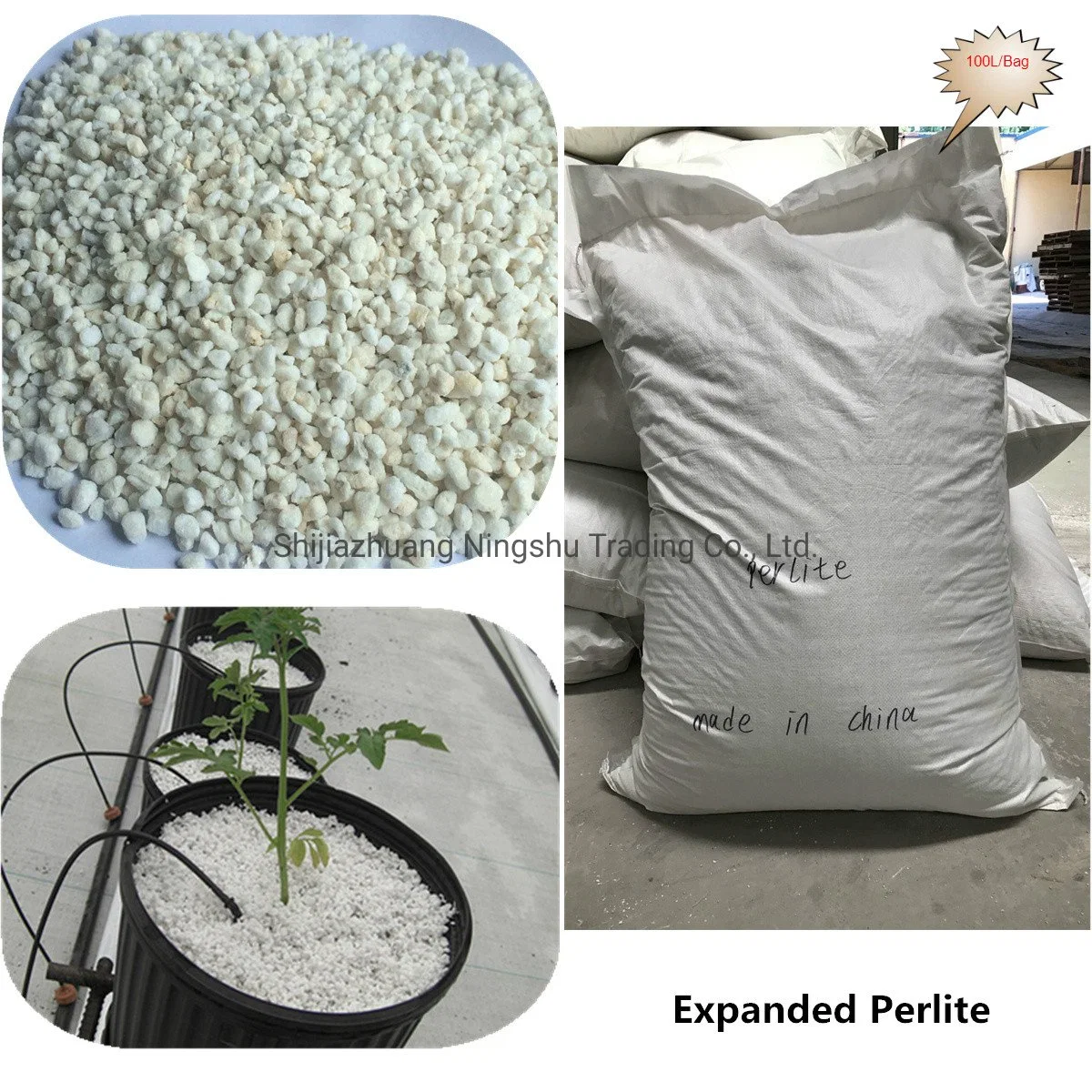 Planting Soil Conditioner Expanded Perlite Granule for Sale