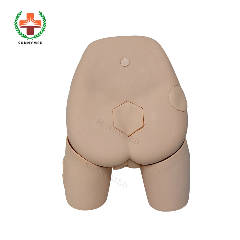 Sy-N045 Medical Nursing Care Female Catheterization Model for University