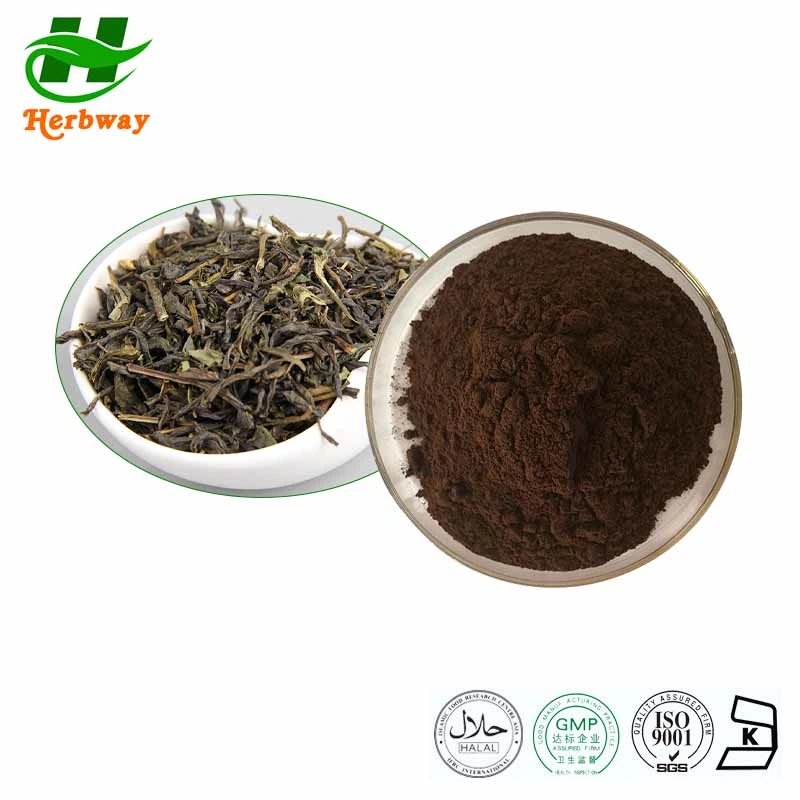 China&prime; S Low Price 100% PU&prime; Er Tea Extract Powder Instant Tea Powder Theaflavin Tea Polyphenols Camellia Sinensis Var. Assamica