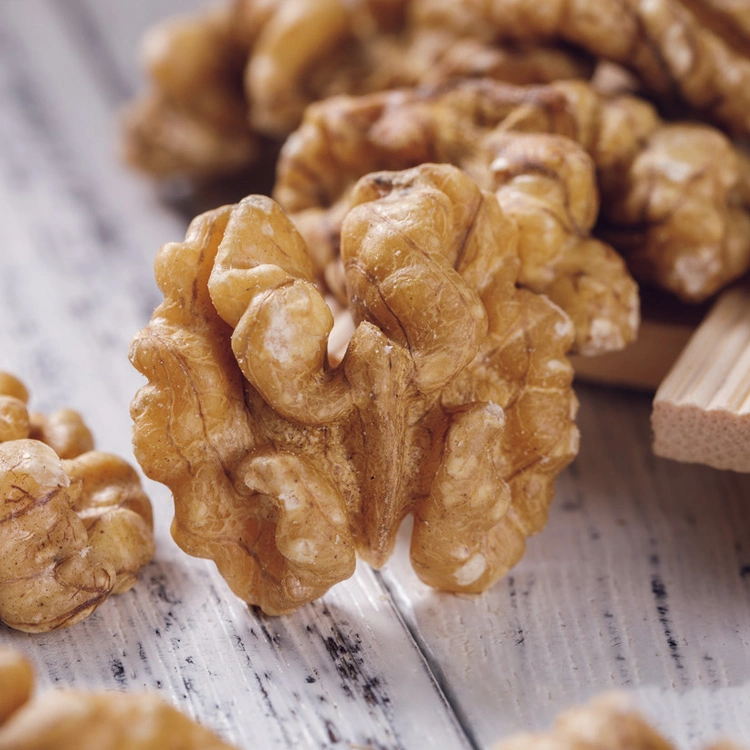 Natural Organic Walnuts for Wholesale Walnut Kernel in Bulk