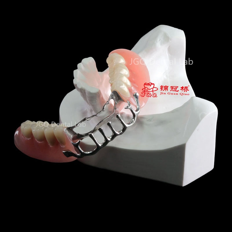 Material dental suministros de laboratorio a medida asequible prótesis flexibles extraíbles adsorbentes