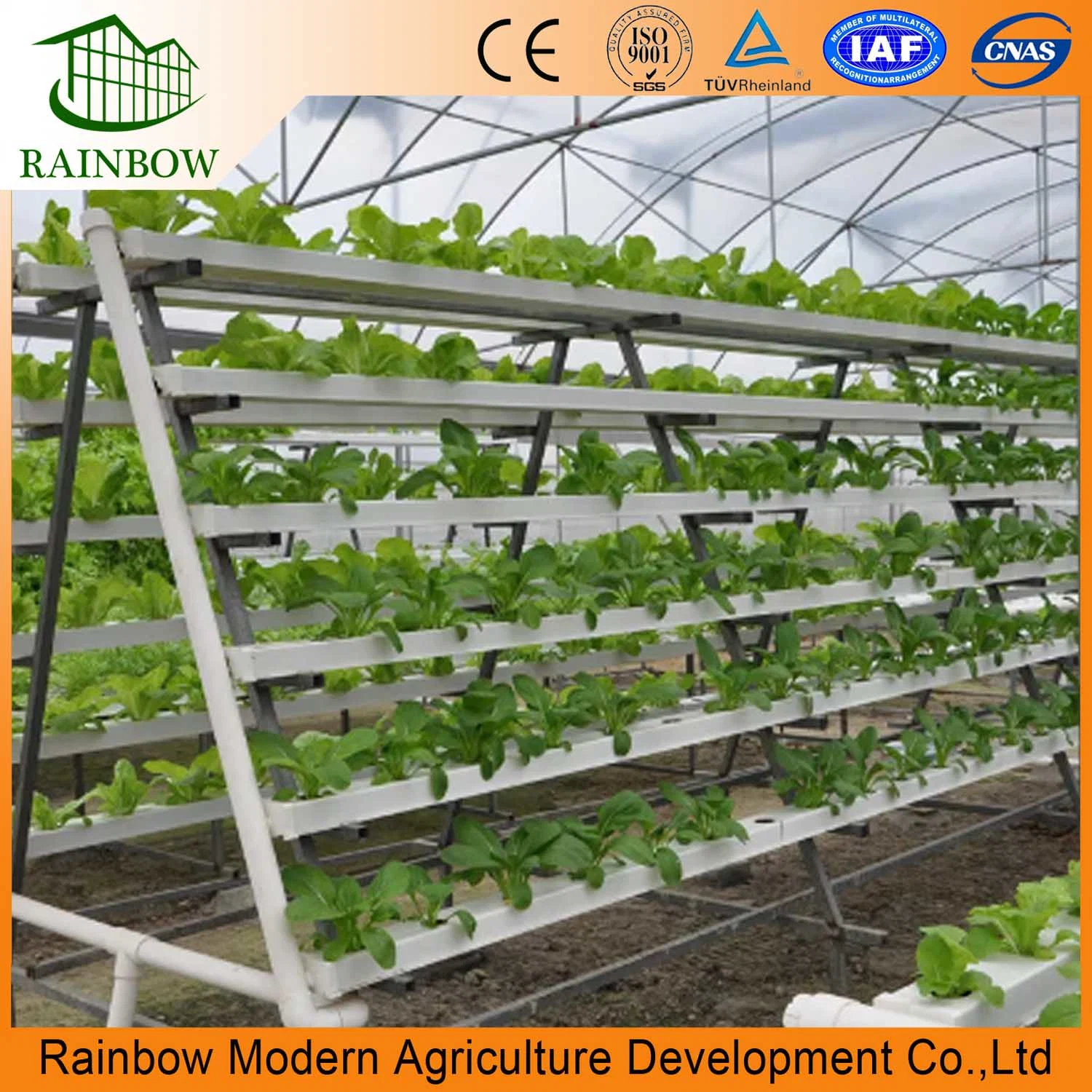 Nft Hydroponic Systems Hydroponic Greenhouse Systems Hydroponics System