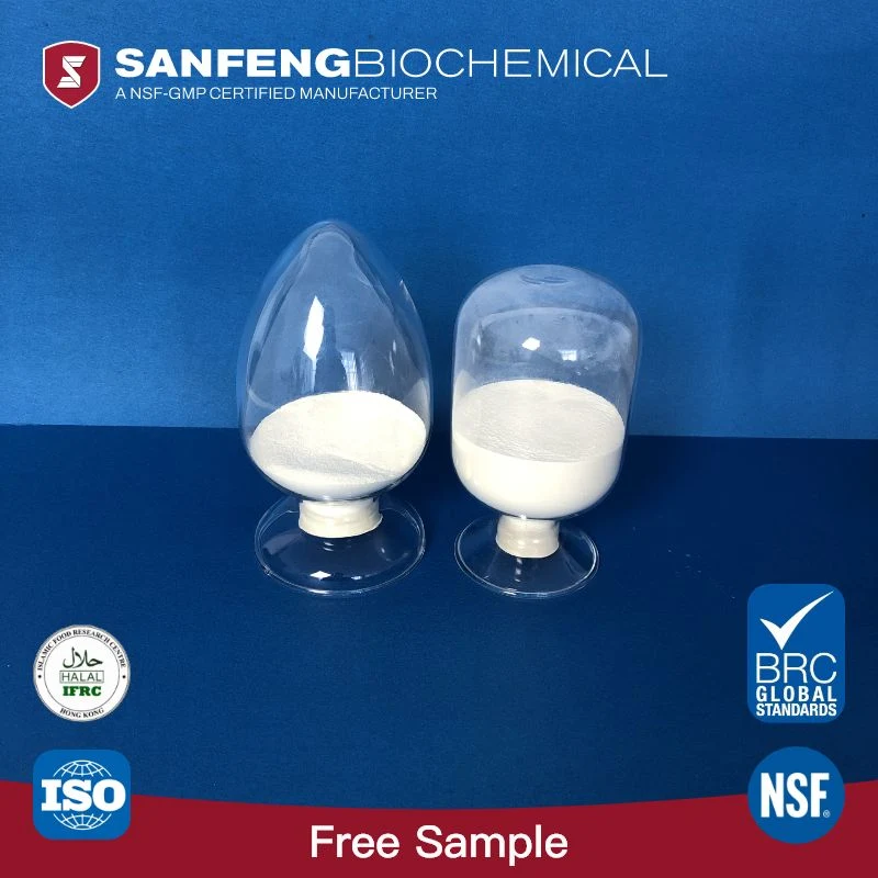 Industrial Grade Raw Material Pancreatin Powder for Digestion with ISO Certificate