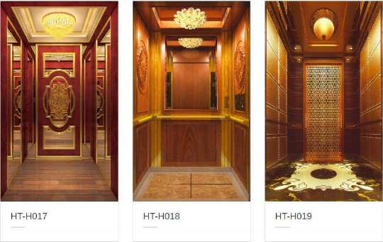 High Speed Home Elevator Custom New Design Passenger Elevator