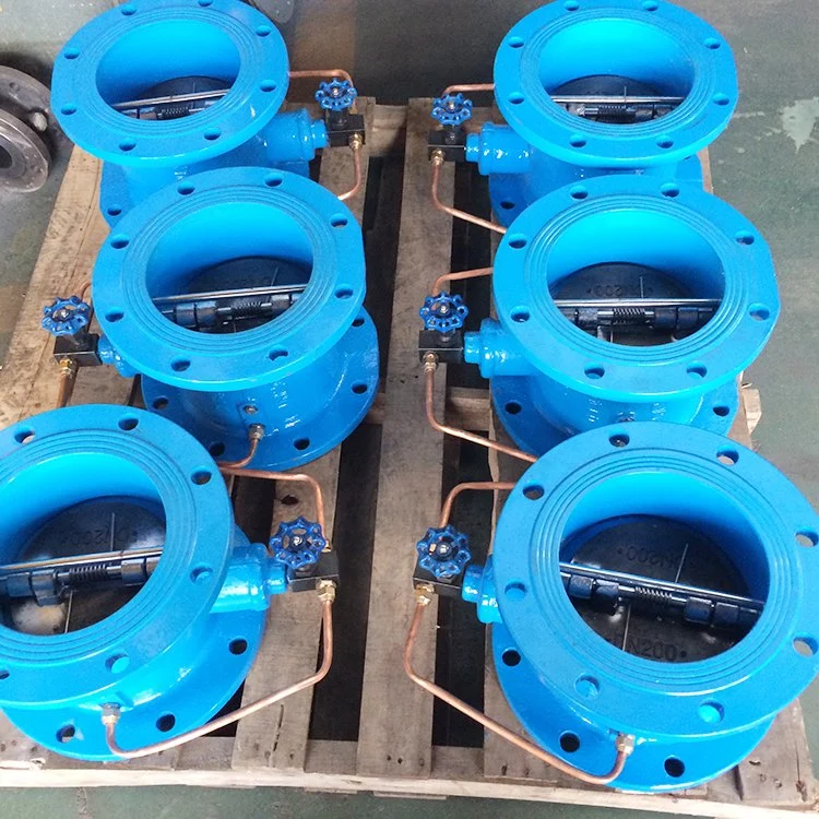 Adjustable Hydraulic Double Disc Spring Loaded Pipe Butterfly Check Valve with Buffer Device