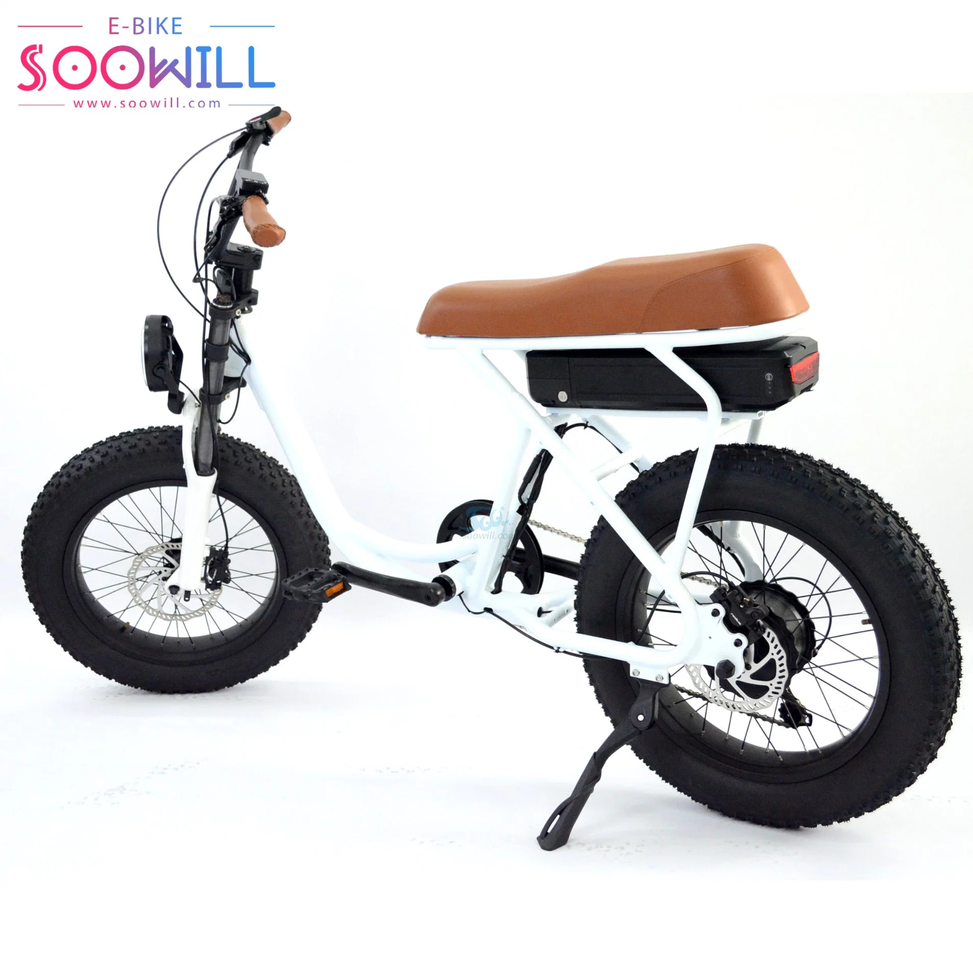 20 Inch Fat Tire Teenagers Popular Riding Electric Bike Bicycle Ebike
