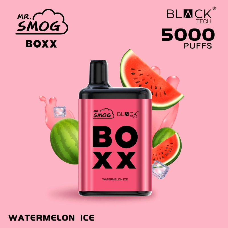 Wholesale Price Mr Smog Boxx Nasty Juice Vape Recargable Elektronik Sigara Vape Shisha Disposable