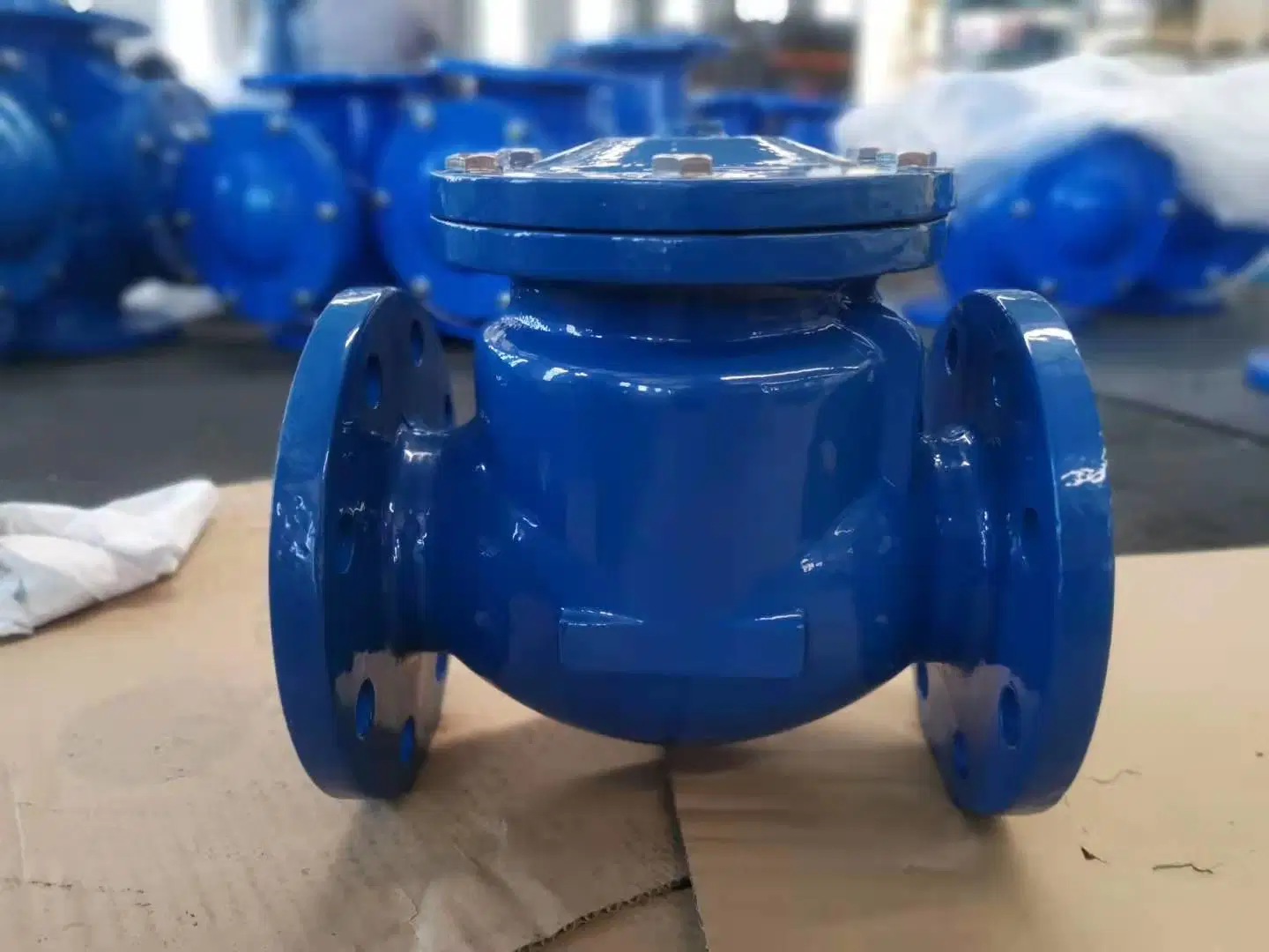 China Products/Suppliers. Pn16 Duction Cast Iron Body Flang Swing Check Valve