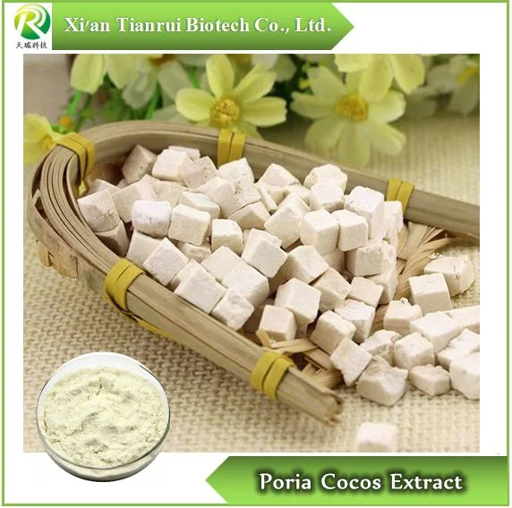 Nature Poria Cocos Extract, / Pachyman 20% 30% 50%