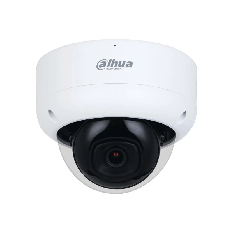 Dahua OEM Ipc-Hdbw3241e-S-S2 2MP IR Fixed-Focal Dome IR Wizsense Network Camera