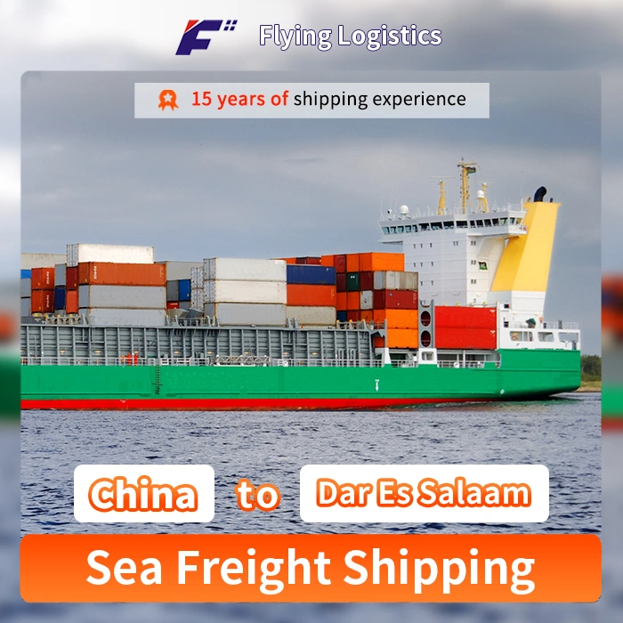 The Cheapest Freight Forwarding Company Sea Shipping From Shenzhen to Dar Es Salaam