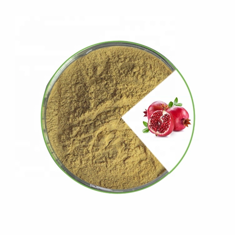 Hot Selling Granatum /Pomegranate Peel Extract Powder