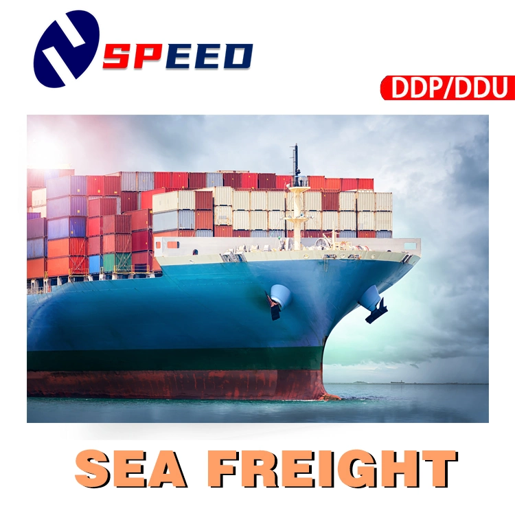 Cheapest Sea Freight Forwarder From China to USA Canada Mexico Cargo Services