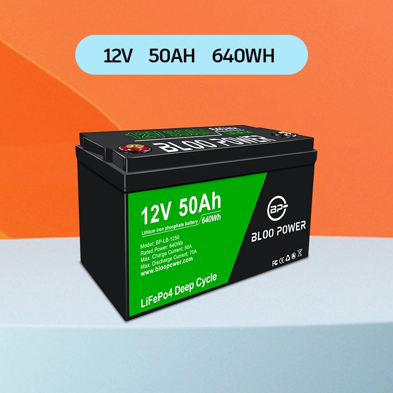 Bloo Power 12V 24V 36V 48V 50ah Sealed Rechargeable for Electric Vehicle Electrical Tool Warehouse Truck Lithium Battery