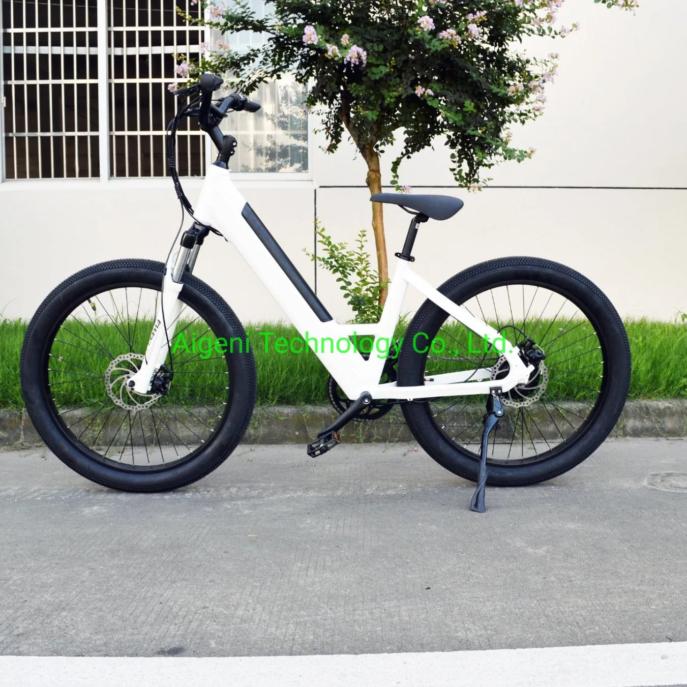 2021 Step Bike for Us Market Supermarket Electric Bike